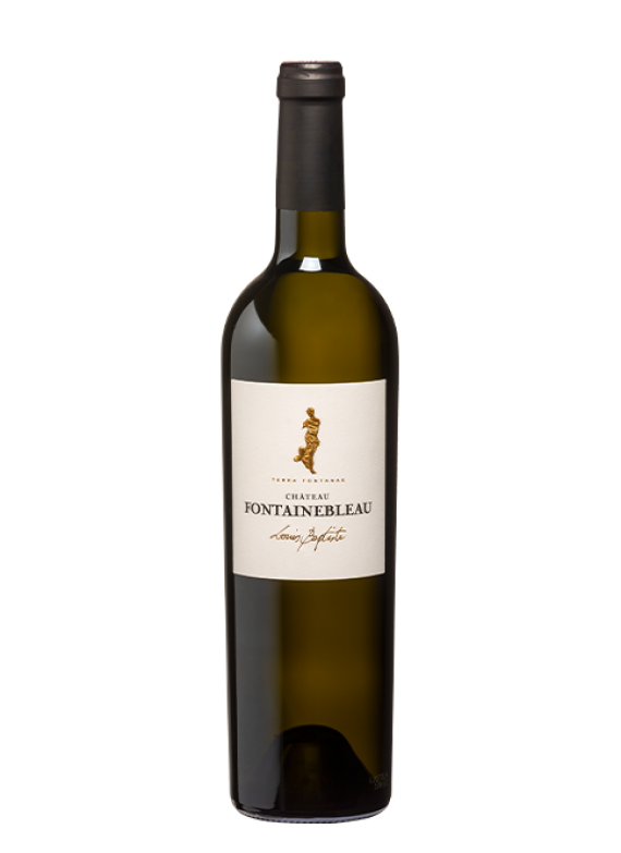 wine