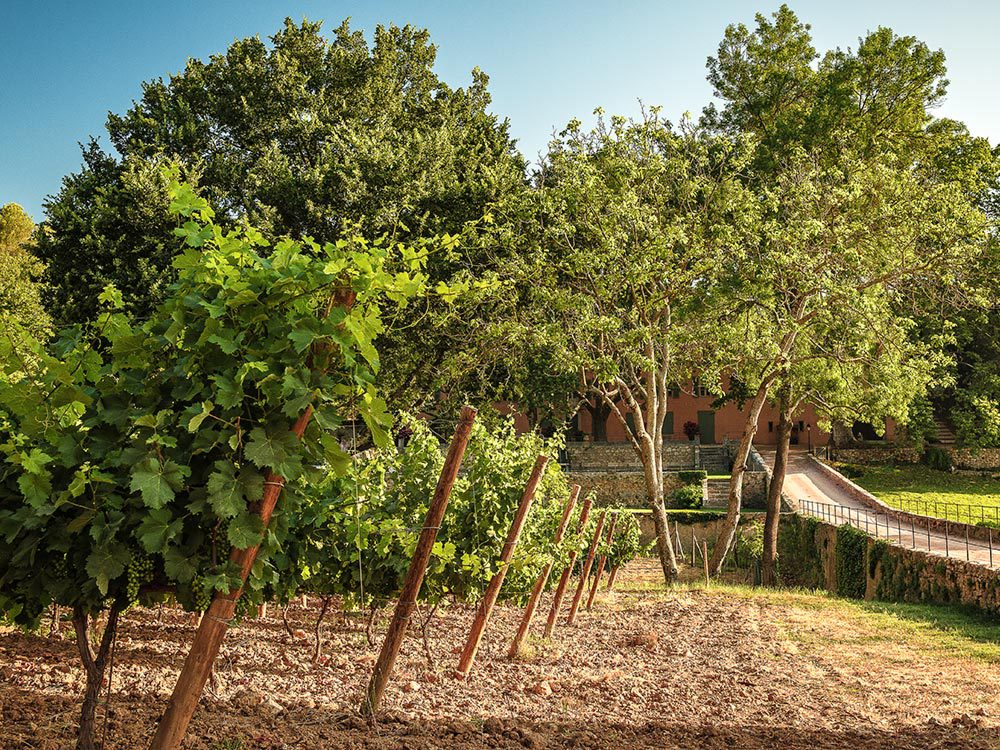 Section primary image domaine 1000x750